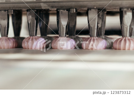 Confectionery factory. Zephyr and marshmallows production line machine, close-up Confectionery factory. Zephyr and marshmallows production line machine, close-up 123873312