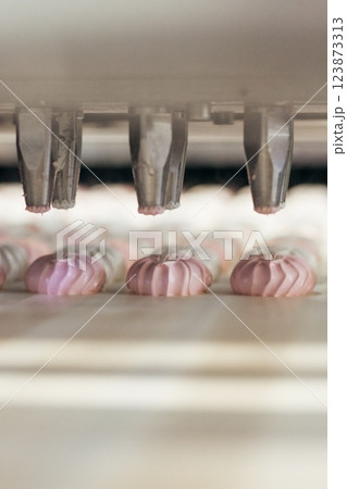 Confectionery factory. Zephyr and marshmallows production line machine, close-up Confectionery factory. Zephyr and marshmallows production line machine, close-up 123873313