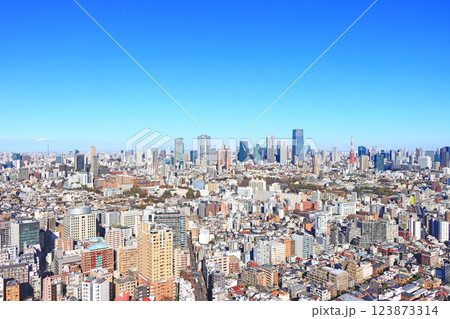 東京都港区、東京の町並みと東京タワーの風景 東京都港区、東京の町並みと東京タワーの風景 123873314