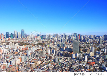 東京都港区、東京の町並みと東京タワーの風景 123873315