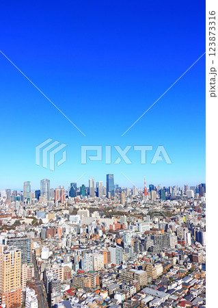 東京都港区、東京の町並みと東京タワーの風景 123873316