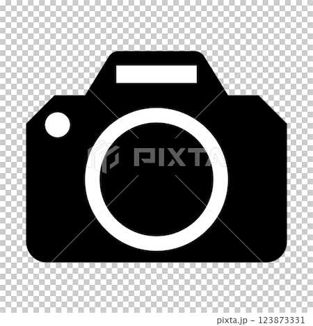白黒のシンプルでフラットなカメラアイコン　白背景 123873331