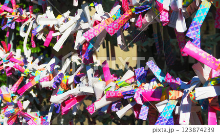 赤城神社（東京都新宿区神楽坂）のおみくじ納め所の風景 123874239
