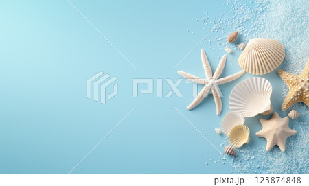 Arrangement of Seashells and Starfish on a Pastel Blue Background 123874848
