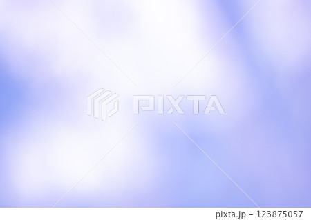 ヴァイオレットイメージ　(背景素材) 123875057