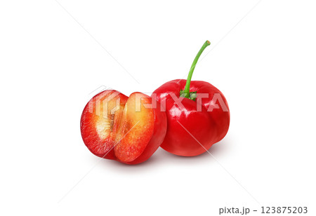 アセロラのイラスト リアル 白バック 123875203