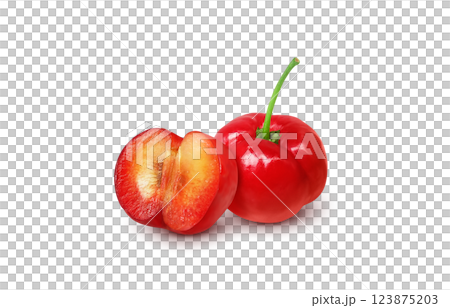 アセロラのイラスト リアル 白バック 123875203