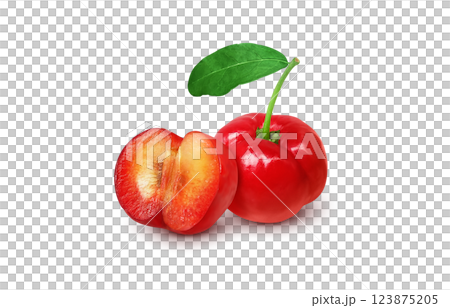 アセロラのイラスト リアル 白バック 123875205