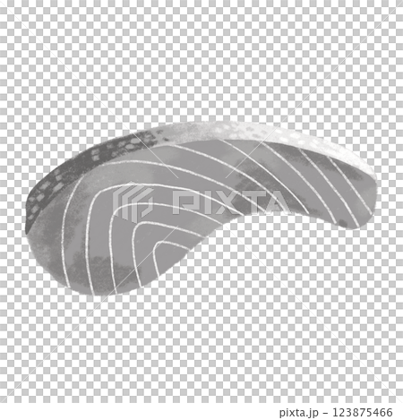 サケの切り身 123875466