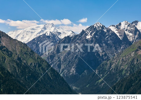Karakol Gorge, Kyrgyzstan. Summer Mountain Landscape 123875541