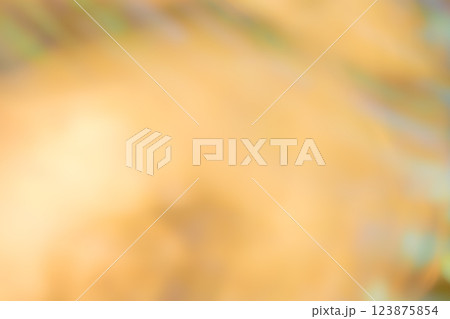 イエローイメージ　(写真素材) 123875854