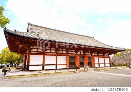 京都府 東寺・講堂(重要文化財) 京都市 南区 九条町 2022年2月 京都府 東寺・講堂(重要文化財) 京都市 南区 九条町 2022年2月 123876100