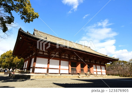 京都府 東寺・講堂(重要文化財) 京都市 南区 九条町 2022年2月 京都府 東寺・講堂(重要文化財) 京都市 南区 九条町 2022年2月 123876905