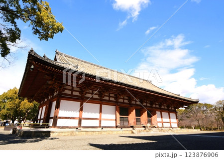 京都府　東寺・講堂（重要文化財） 京都市 南区 九条町　2022年2月 123876906