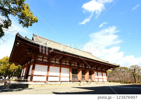 京都府　東寺・講堂（重要文化財） 京都市 南区 九条町　2022年2月 123876907