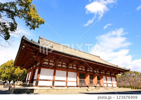 京都府 東寺・講堂(重要文化財) 京都市 南区 九条町 2022年2月 京都府 東寺・講堂(重要文化財) 京都市 南区 九条町 2022年2月 123876909