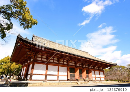 京都府 東寺・講堂(重要文化財) 京都市 南区 九条町 2022年2月 京都府 東寺・講堂(重要文化財) 京都市 南区 九条町 2022年2月 123876910