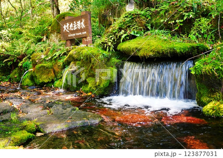 旭岳源水公園 123877031