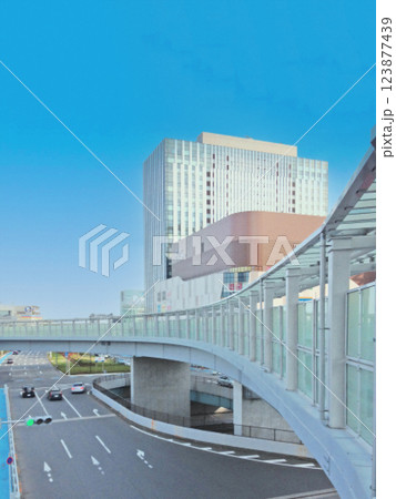 ダイバーシティ東京と連絡橋。ドット絵風の写真。 ダイバーシティ東京と連絡橋。ドット絵風の写真。 123877439