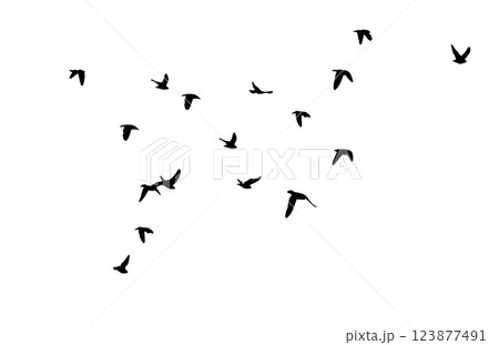 Flying birds silhouette flock. hand drawing. Not AI. Vector illustration Flying birds silhouette flock. hand drawing. Not AI. Vector illustration 123877491