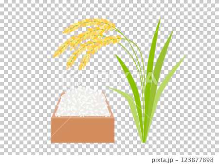 升に入ったお米と稲穂のイラスト 123877898