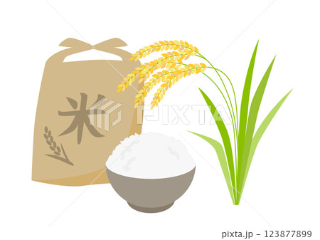 お米と白ごはんと稲のイラスト お米と白ごはんと稲のイラスト 123877899