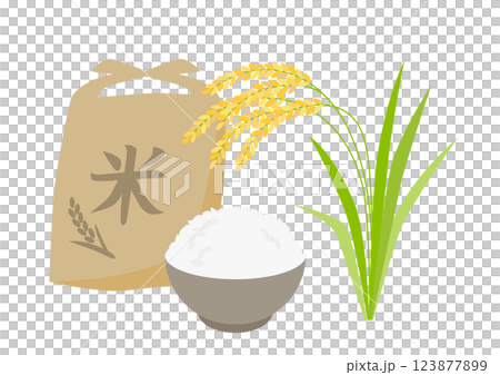 Illustration of rice, white rice and rice 123877899