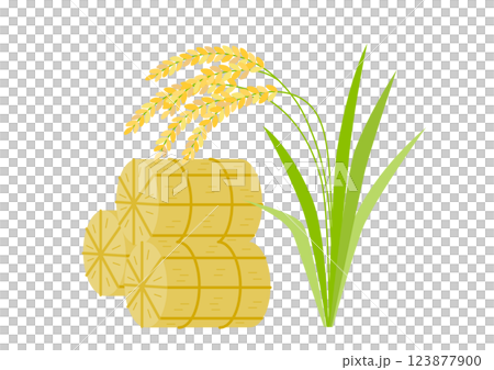 Illustration of rice bales and rice Illustration of rice bales and rice 123877900