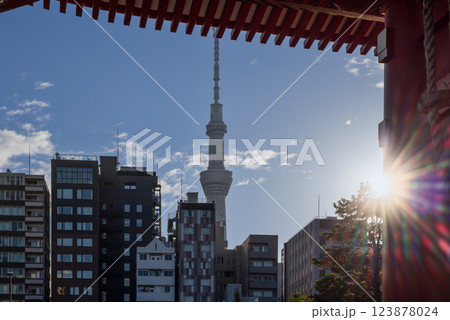 Tokyo Skytree rises above city buildings framed by the wooden architecture of a temple Senso-ji 123878024