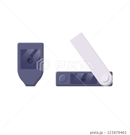 Crypto Hardware Wallet Flat Illustration. Clean Icon Design Element on Isolated White Background 123878461
