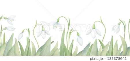 Snowdrops with green leaves seamless border. Watercolor horizontal composition with first flowers isolated on white. Hand drawn floral arrangement for print and design. Snowdrops with green leaves seamless border. Watercolor horizontal composition with first flowers isolated on white. Hand drawn floral arrangement for print and design. 123878641