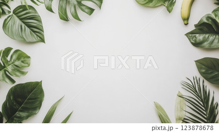 A clean and vibrant frame of lush tropical leaves including monstera, palm fronds, and ferns arranged symmetrically, set against a white background for a fresh, nature-inspired look. 123878678