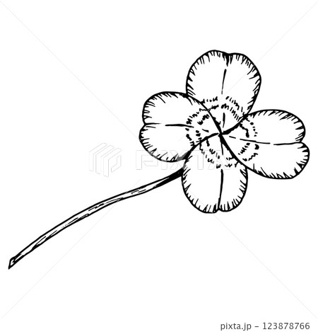 Four leaf clover. Leaves on a stem. Symbol of St. Patrick's Day. Hand drawn in ink monochrome illustration. Perfect for floral arrangements, Irish designs, herbal projects, good luck charms Four leaf clover. Leaves on a stem. Symbol of St. Patrick's Day. Hand drawn in ink monochrome illustration. Perfect for floral arrangements, Irish designs, herbal projects, good luck charms 123878766