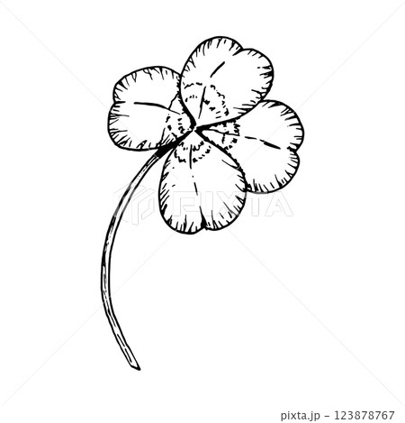 Four leaf clover on a stem. Symbol of St. Patrick's Day. Hand drawn in ink black and white illustration. Perfect for floral arrangements, Irish designs, herbal projects, good luck charms Four leaf clover on a stem. Symbol of St. Patrick's Day. Hand drawn in ink black and white illustration. Perfect for floral arrangements, Irish designs, herbal projects, good luck charms 123878767