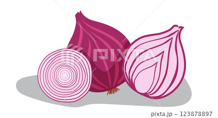 Hand drawn illustration of red onion 123878897