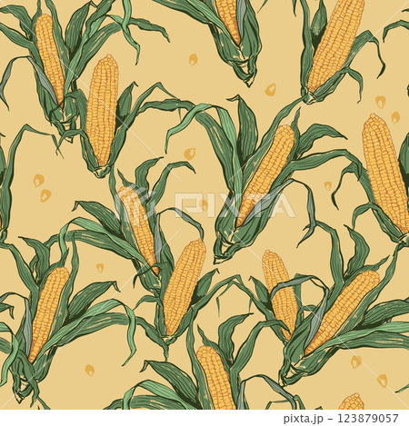 Vector vegetable doodle seamless pattern of corn. Hand-drawn garden harvest. Organic farm graphics. Tasty food for design, veggie market drawing print, fabric or background. Vector vegetable doodle seamless pattern of corn. Hand-drawn garden harvest. Organic farm graphics. Tasty food for design, veggie market drawing print, fabric or background. 123879057