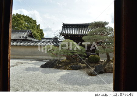 東寺別格本山 観智院庭園「長者の庭」 東寺別格本山 観智院庭園「長者の庭」 123879149