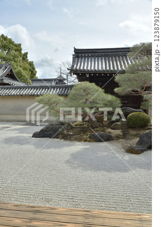 東寺別格本山　観智院庭園「長者の庭」 123879150