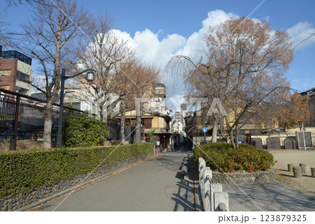 先斗町通り　京都市中京区 123879325