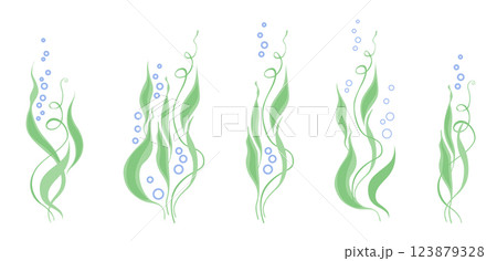 Water plants and bubbles 123879328