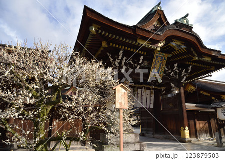 早春の天神さん 白梅と三光門【重文】 早春の天神さん 白梅と三光門【重文】 123879503