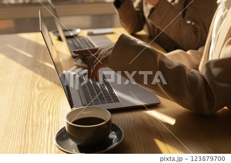 female hands at a laptop near the window female hands at a laptop near the window 123879700