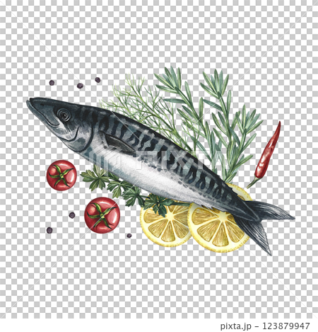 Mackerel with lemon, herbs and tomatoes. A hand-drawn watercolor illustration. A color image of a fish dish. Separate from the background. For menus, recipe books, packages, labels, invitations. 123879947