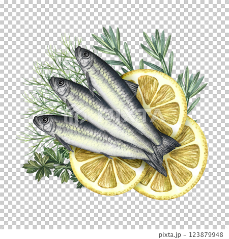 Sardines with herbs and lemons. A hand-drawn watercolor illustration. A color image of a fish dish. Separate from the background. Great for menus, recipe books, packages, labels, invitations. Sardines with herbs and lemons. A hand-drawn watercolor illustration. A color image of a fish dish. Separate from the background. Great for menus, recipe books, packages, labels, invitations. 123879948