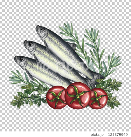 Sardines with herbs and tomatoes. A hand-drawn watercolor illustration. A color image of a fish dish. Separate from the background. For menus, recipe books, packages, labels, invitations. Sardines with herbs and tomatoes. A hand-drawn watercolor illustration. A color image of a fish dish. Separate from the background. For menus, recipe books, packages, labels, invitations. 123879949