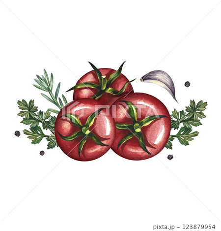 Tomatoes and spices. A hand-drawn watercolor illustration. A color template with ingredients for ketchup or sauce. Tomatoes, herbs, garlic, black pepper. Great for menus, recipe books, packages, label Tomatoes and spices. A hand-drawn watercolor illustration. A color template with ingredients for ketchup or sauce. Tomatoes, herbs, garlic, black pepper. Great for menus, recipe books, packages, label 123879954