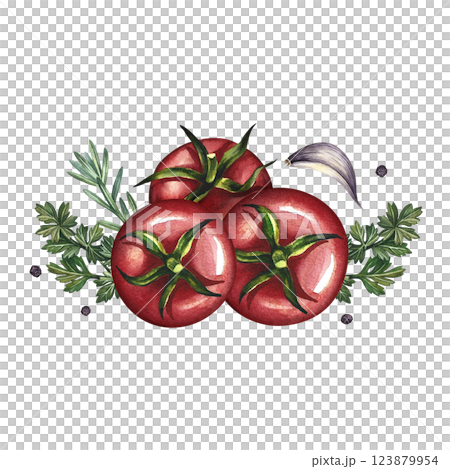 Tomatoes and spices. A hand-drawn watercolor illustration. A color template with ingredients for ketchup or sauce. Tomatoes, herbs, garlic, black pepper. Great for menus, recipe books, packages, label Tomatoes and spices. A hand-drawn watercolor illustration. A color template with ingredients for ketchup or sauce. Tomatoes, herbs, garlic, black pepper. Great for menus, recipe books, packages, label 123879954