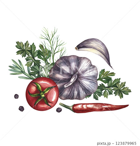 Composition with vegetables. A hand-drawn watercolor illustration. A color image of the ingredients for ketchup or sauce. Tomatoes, herbs, garlic, chili pepper. For menus, recipe, packages, labels. 123879965