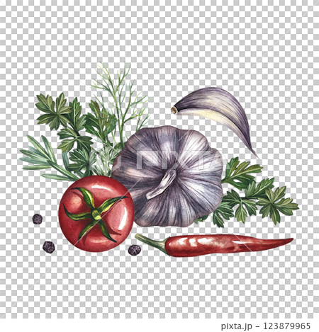 Composition with vegetables. A hand-drawn watercolor illustration. A color image of the ingredients for ketchup or sauce. Tomatoes, herbs, garlic, chili pepper. For menus, recipe, packages, labels. Composition with vegetables. A hand-drawn watercolor illustration. A color image of the ingredients for ketchup or sauce. Tomatoes, herbs, garlic, chili pepper. For menus, recipe, packages, labels. 123879965
