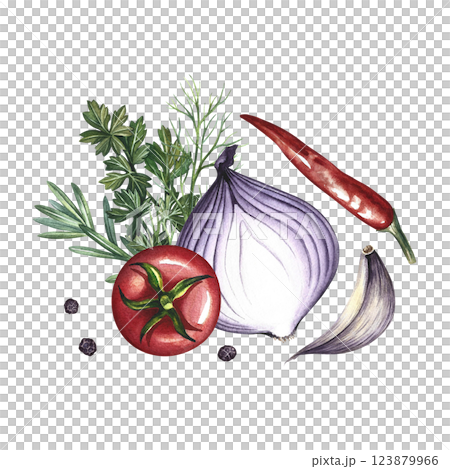 Composition with vegetables. A hand-drawn watercolor illustration. A color image of ketchup or sauce ingredients. Tomatoes, herbs, garlic, pepper and onion. For menus, recipe books, packages, labels. Composition with vegetables. A hand-drawn watercolor illustration. A color image of ketchup or sauce ingredients. Tomatoes, herbs, garlic, pepper and onion. For menus, recipe books, packages, labels. 123879966